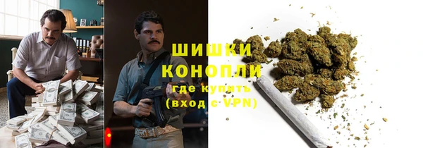mix Богородицк
