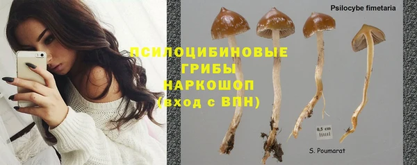 кристаллы Богородск