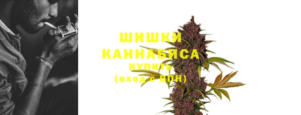 mix Богородицк
