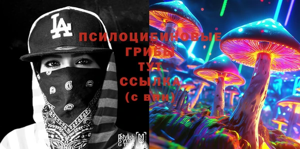 Альфа ПВП Богданович