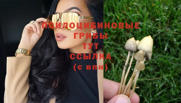 mix Богородицк